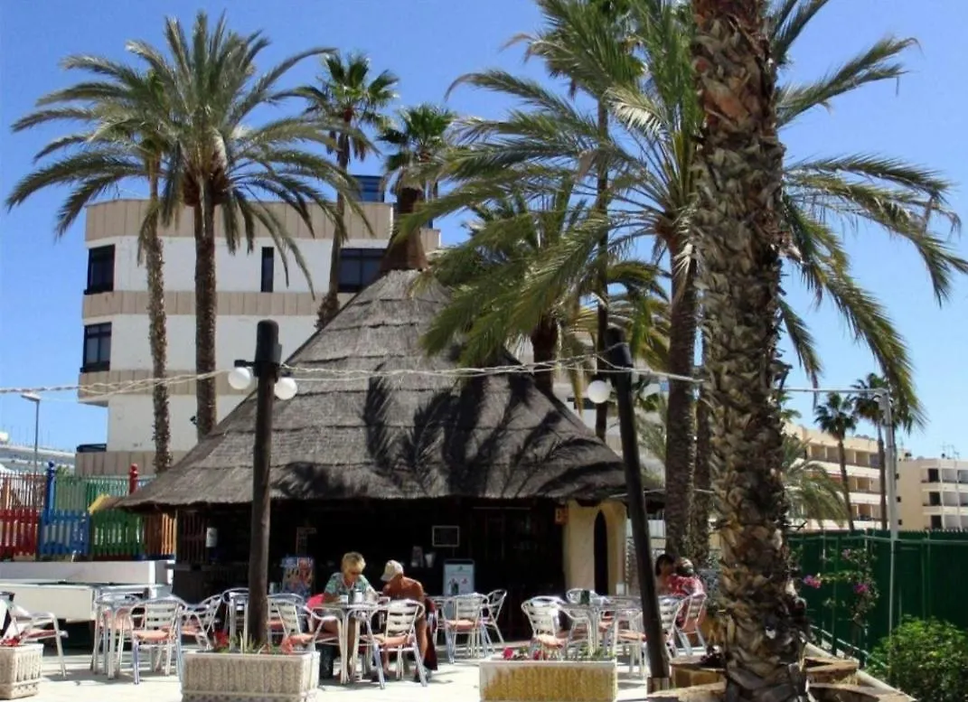 Blumluxury Apartment San Bartolome de Tirajana  Spain